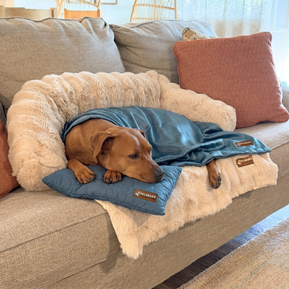 Luxurious Sofa Bed