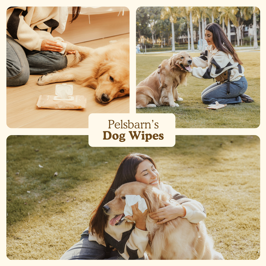 Eco Dog Wipes for clean paws