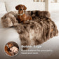 Luxurious Living Room Kit (Bed + Blanket + Pillow)