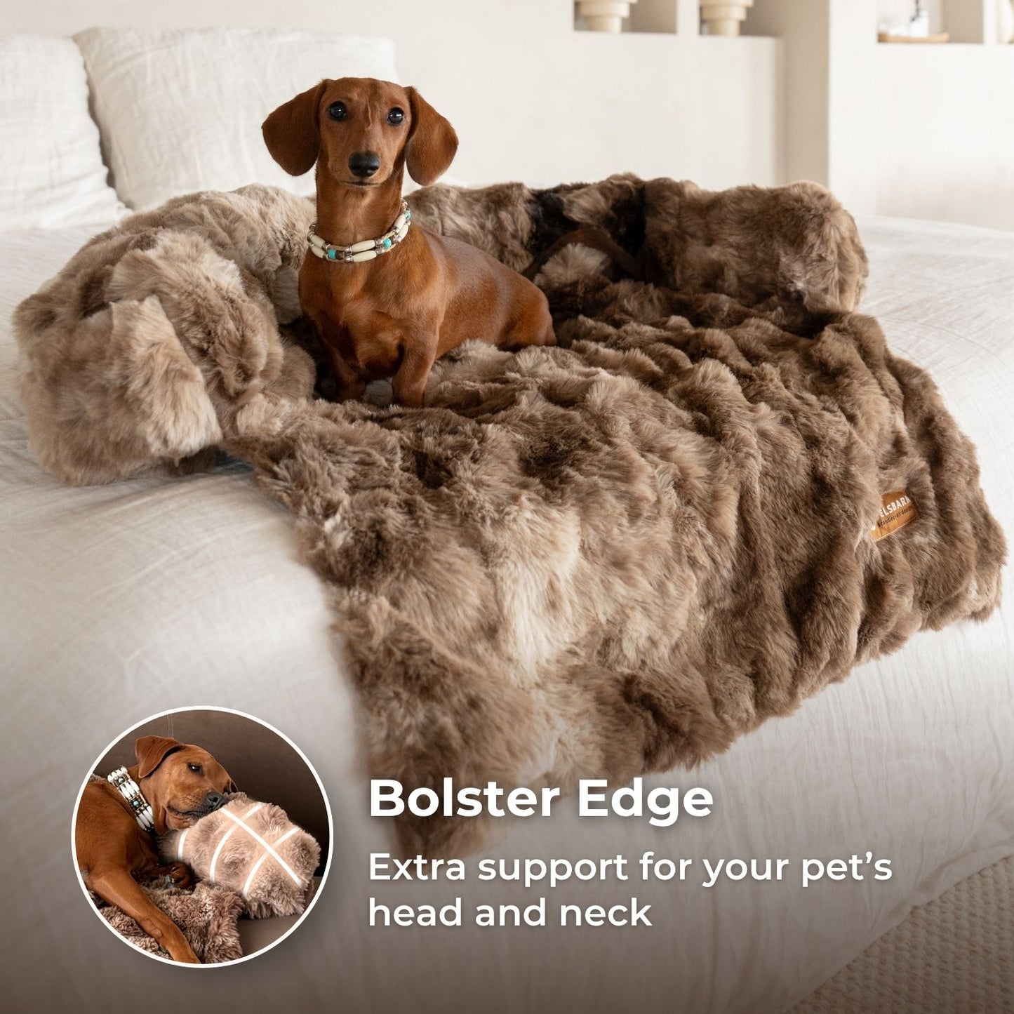 Luxurious Living Room Kit (Bed + Blanket + Pillow)