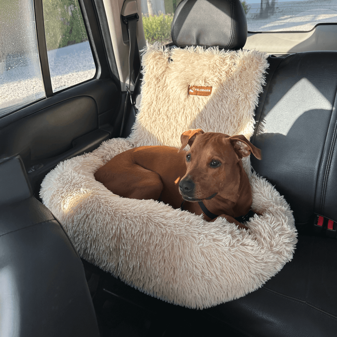 Pelsbarn Protecting Car Bed 2.0