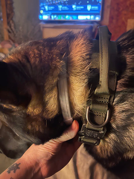 Heavy-Duty Tactical Dog Collar