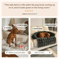 LSB + Free Luxurious Calming Blanket