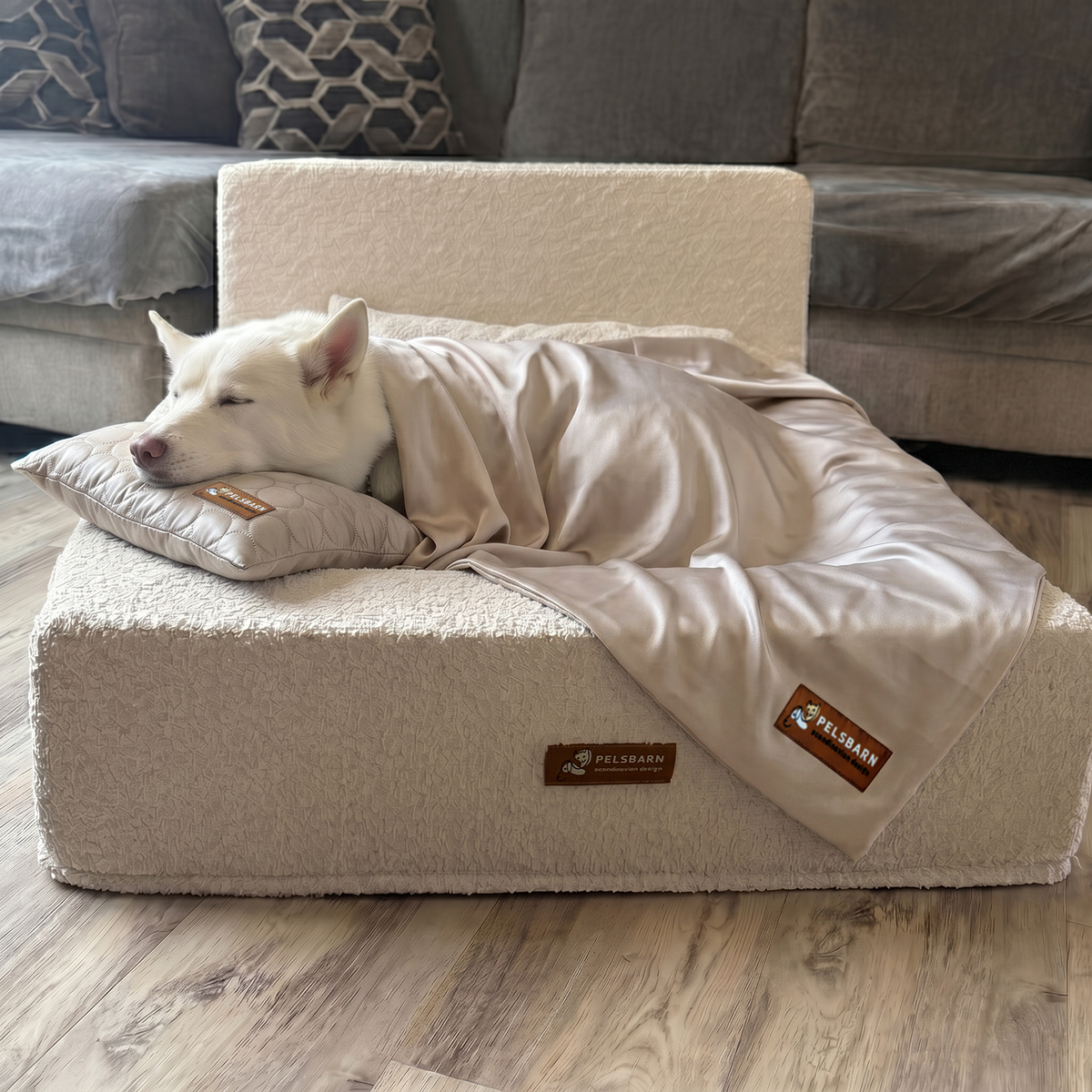Ready for Dream Bed