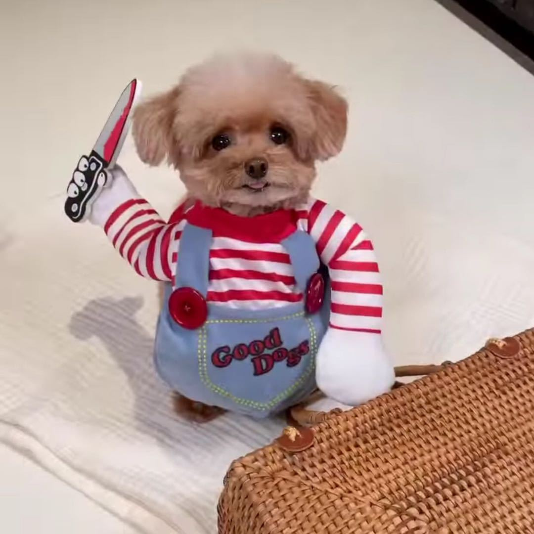 Woof o Ween Chucky Pup Style Costume