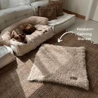 FREE - Calming Relief Blanket ($59 value)