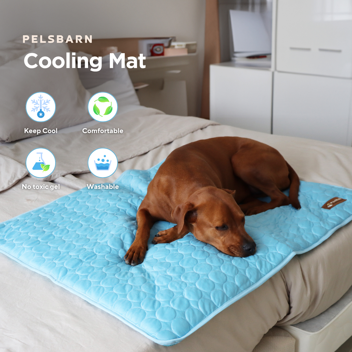 Luxurious Full Backseat Protector + Free Blue Cooling Mat