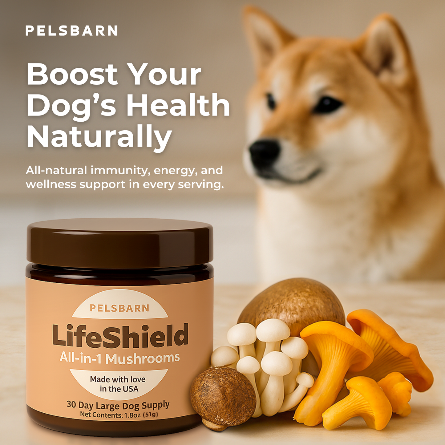 Lifeshield All-in-1 Mushroom Supplement