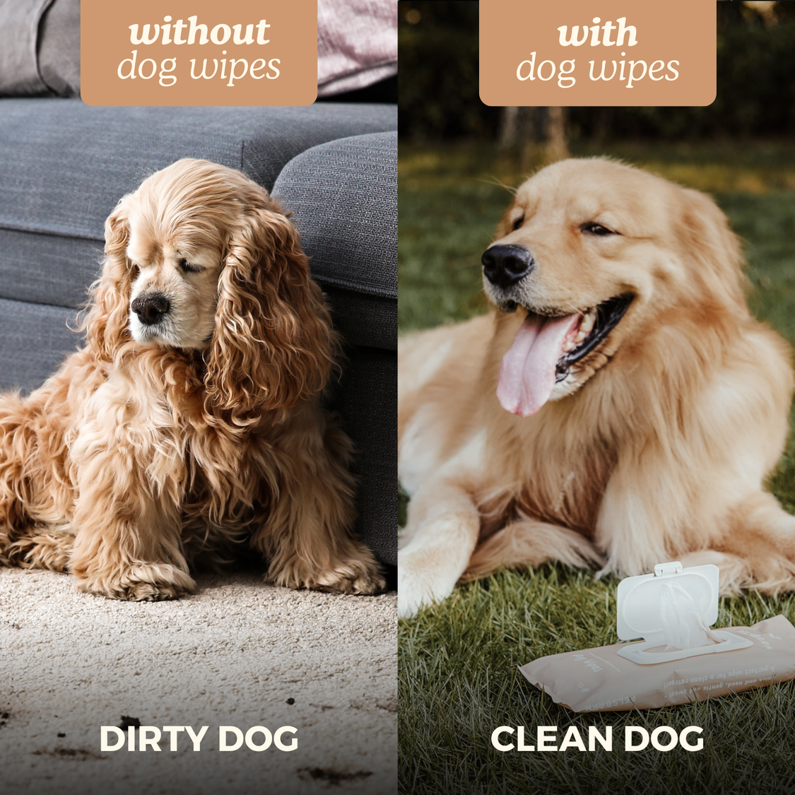 Eco Dog Wipes for clean paws
