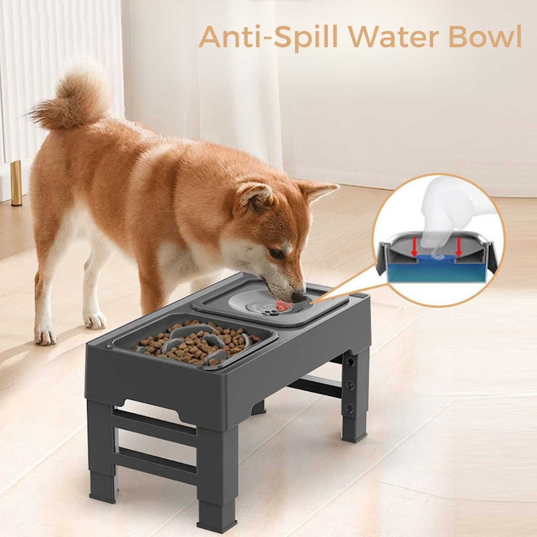 Elevated Dog Bowl, Adjustable Raised Dog Bowl with Slow Feeder