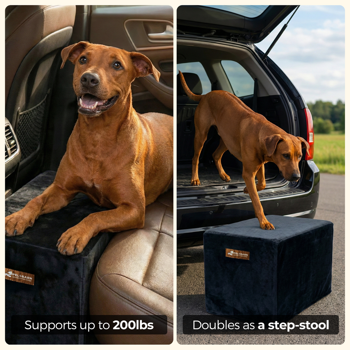 Dog Car Seat Extender