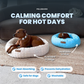 Cooling Donut Bed