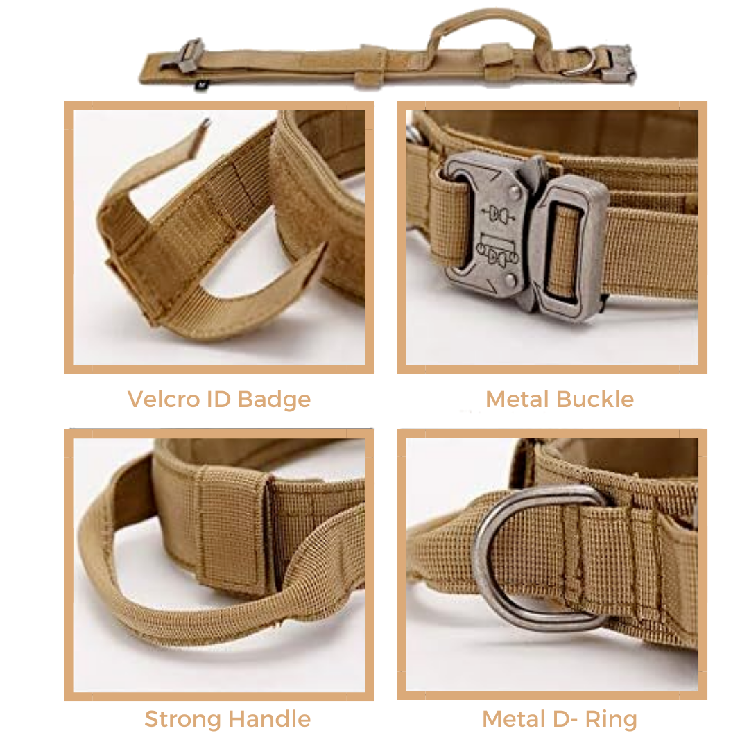 Heavy-Duty Tactical Dog Collar