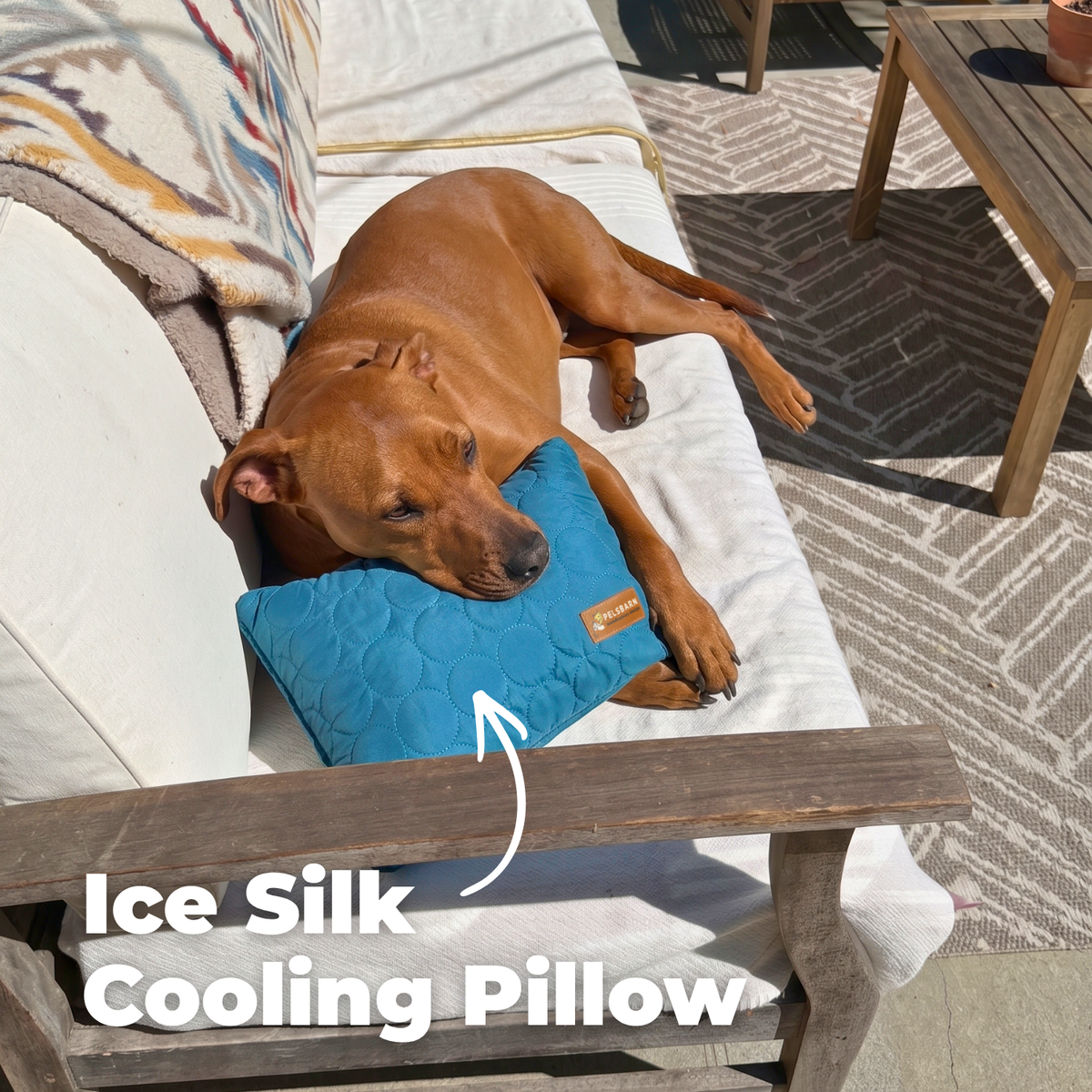 Cooling Pillow