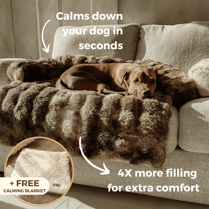 Luxurious Cozy Pelsbarn Sofa Bed + Fluffy Calming Blanket