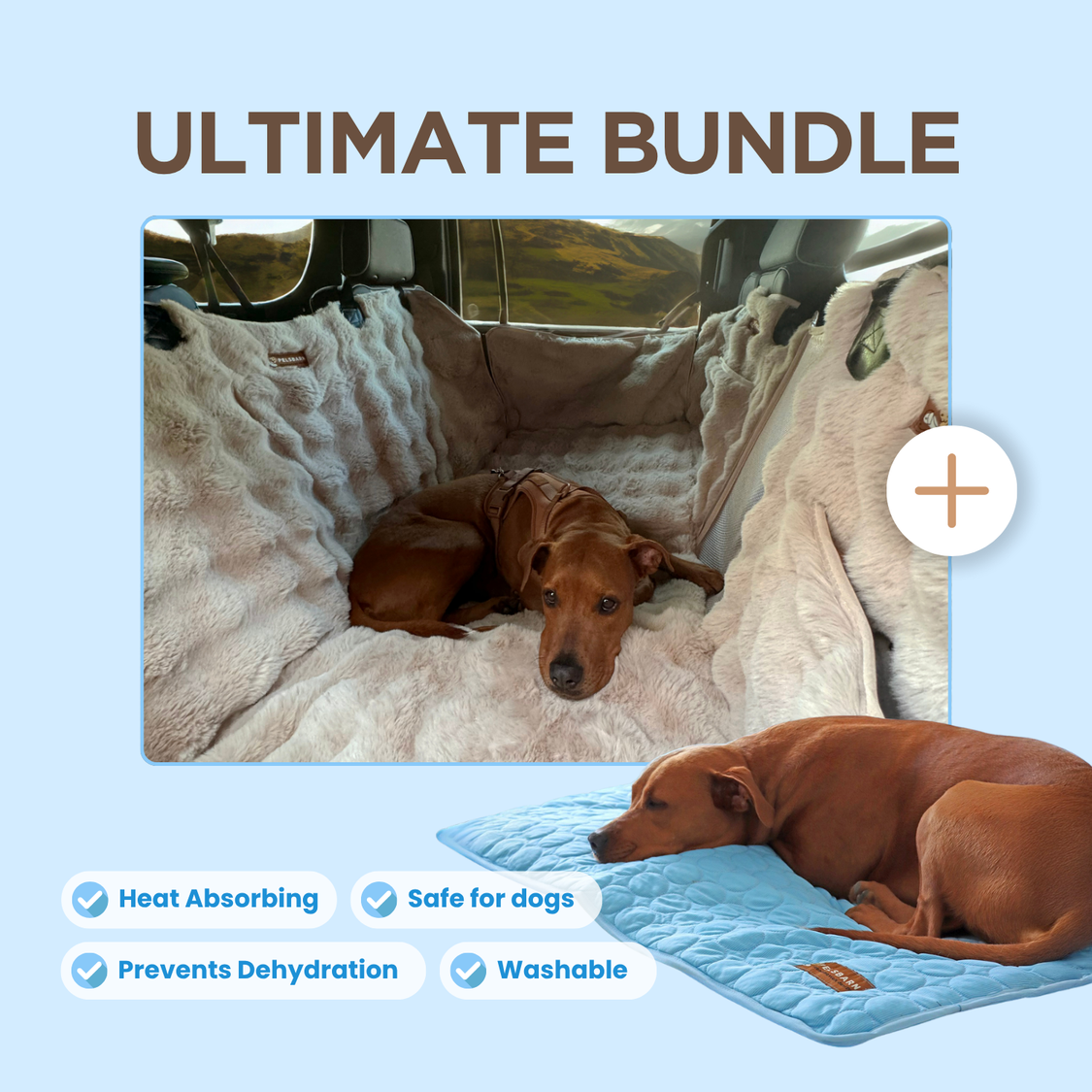 Luxurious Full Backseat Protector + Free Blue Cooling Mat