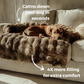 Luxurious sofa bed + luxurious cozy blanket (bundle)