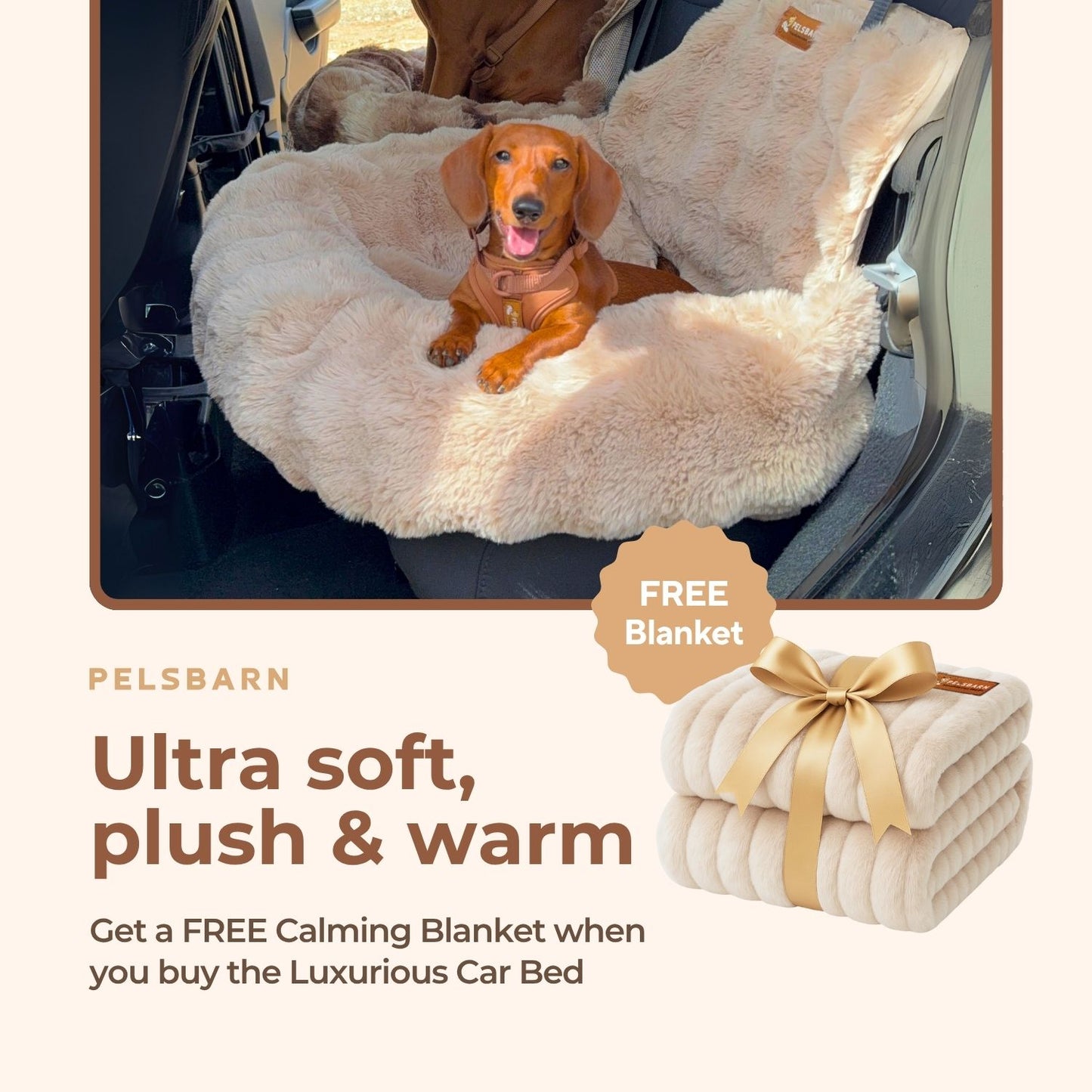 Luxurious Car Bed + Free Luxurious Calming Blanket