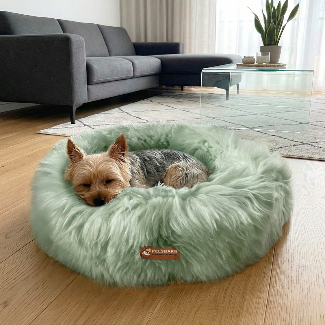 The Snugg Calming Dog Bed (1+1)