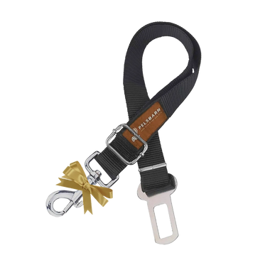 FREE Safety Belt