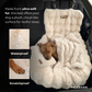 Luxurious Car Bed With Free Pillow & Blanket