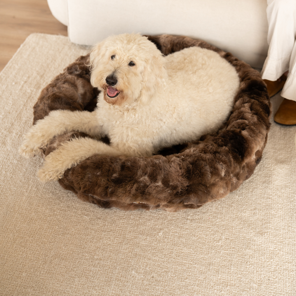 Luxurious Donut Bed