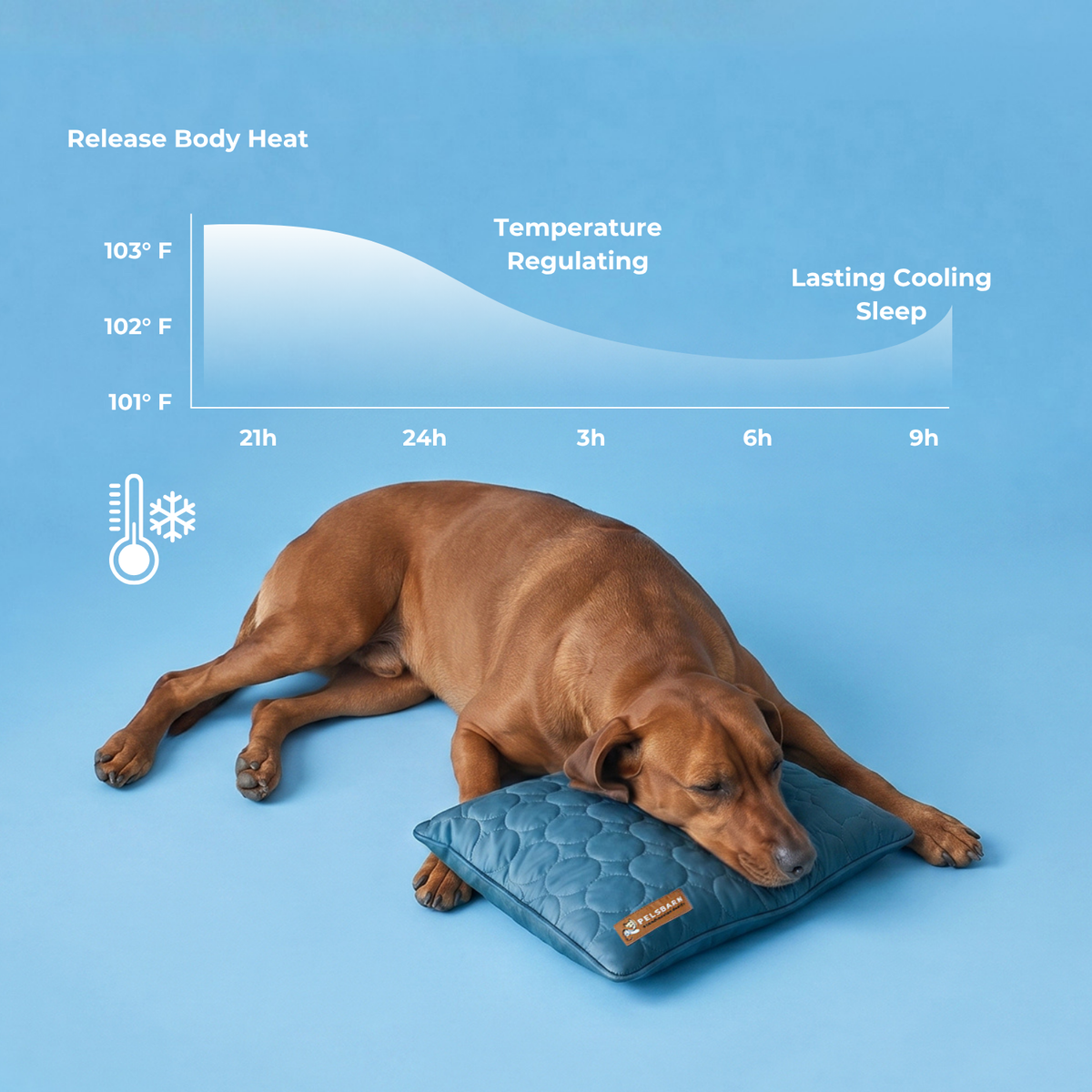 Cooling Pillow