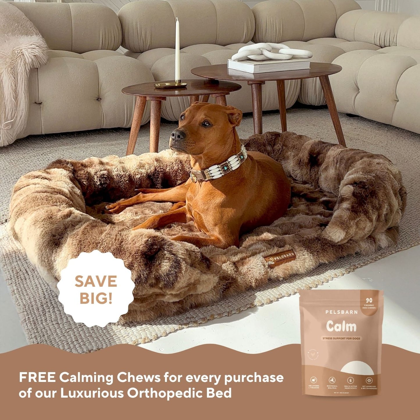 Body - Mind Support: Luxurious Orthopedic Bed + FREE calming chews