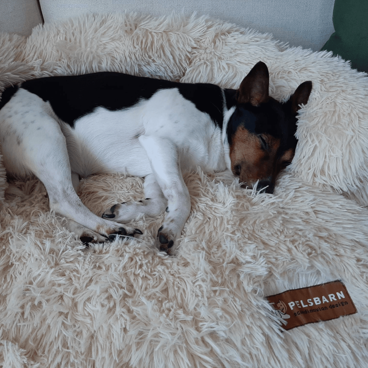 Original Calming Bed