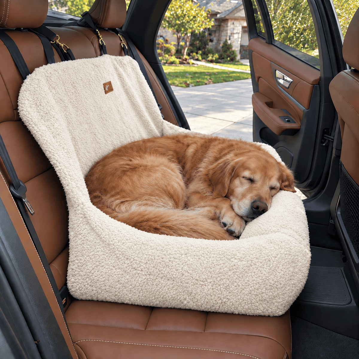 Teddy Car Bed