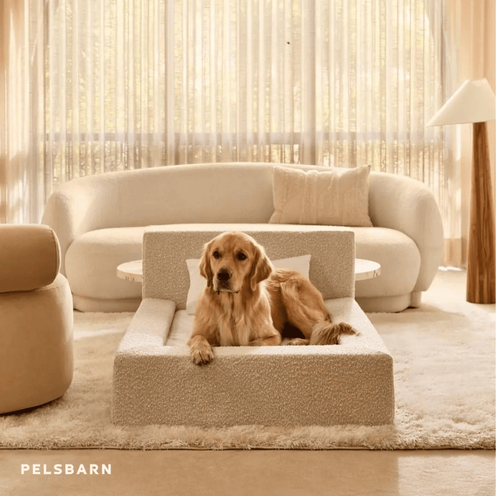 REAL orthopedic bed for dogs