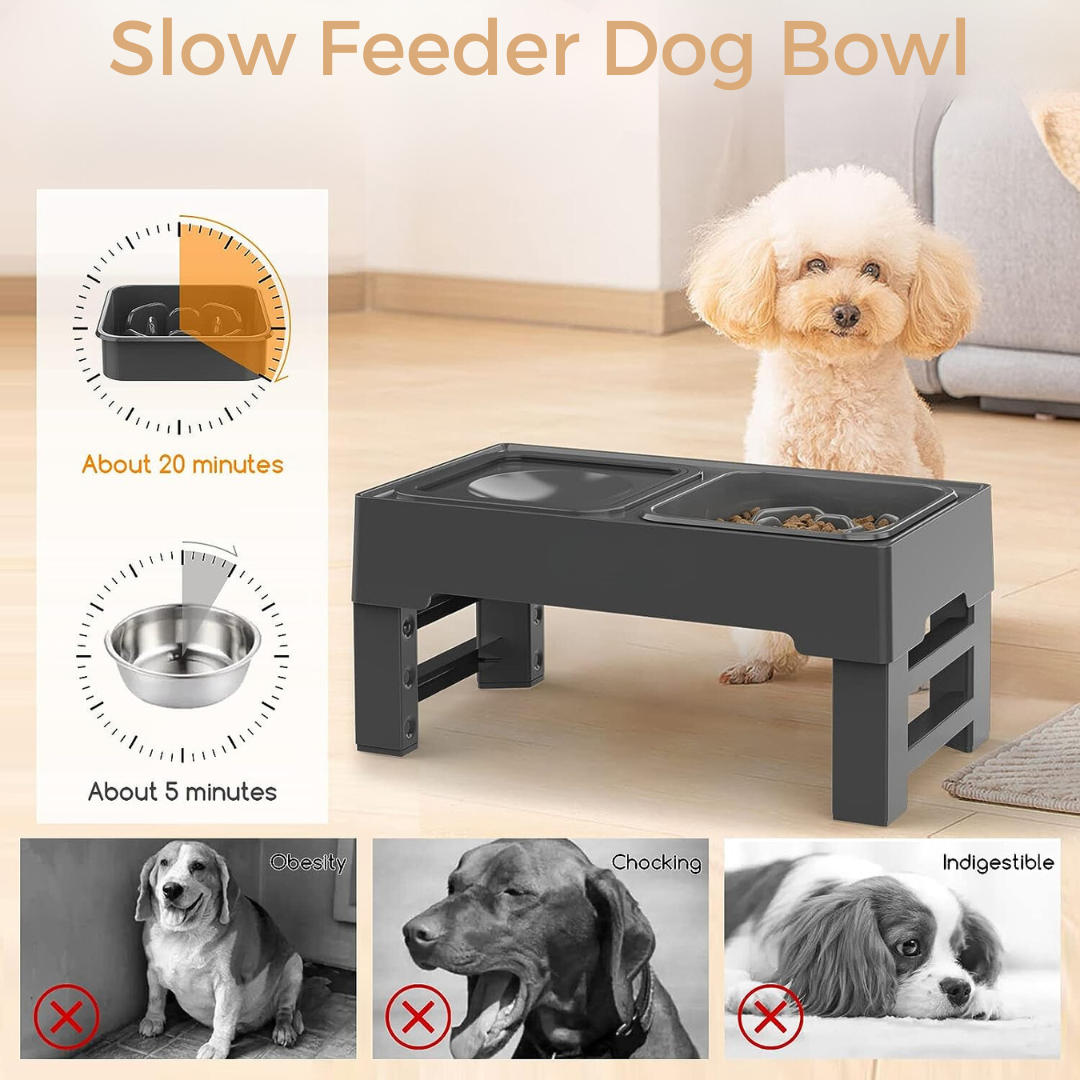 Elevated Slow Feeder Dog Bowls for Large Dogs, 3 Adjustable