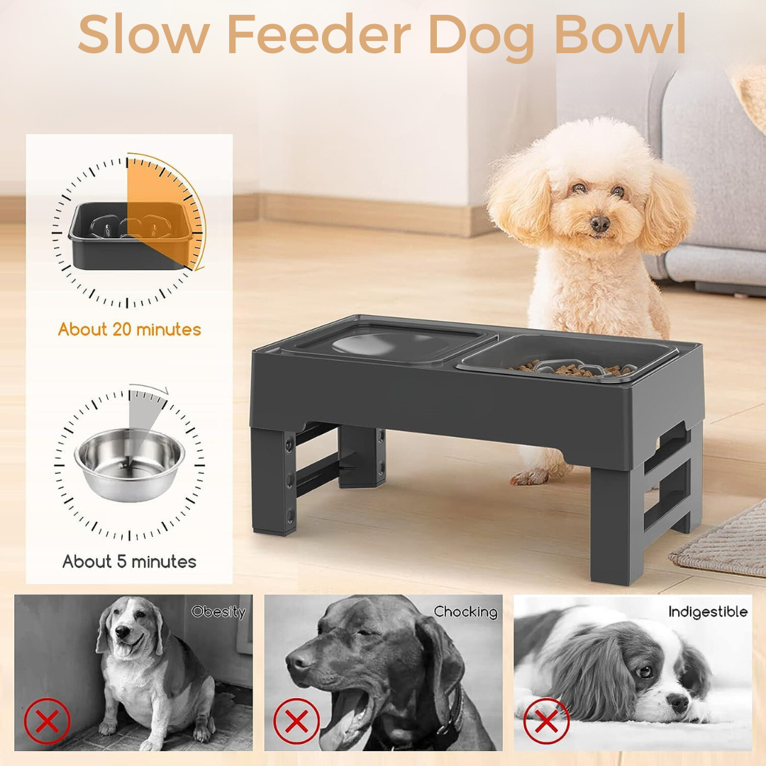 Elevated Dogs Bowls Adjustable Heights Raised Dog Food Water Bowl With Slow  Feeder Bowl Standing Cat Bowl For Medium Large Dogs