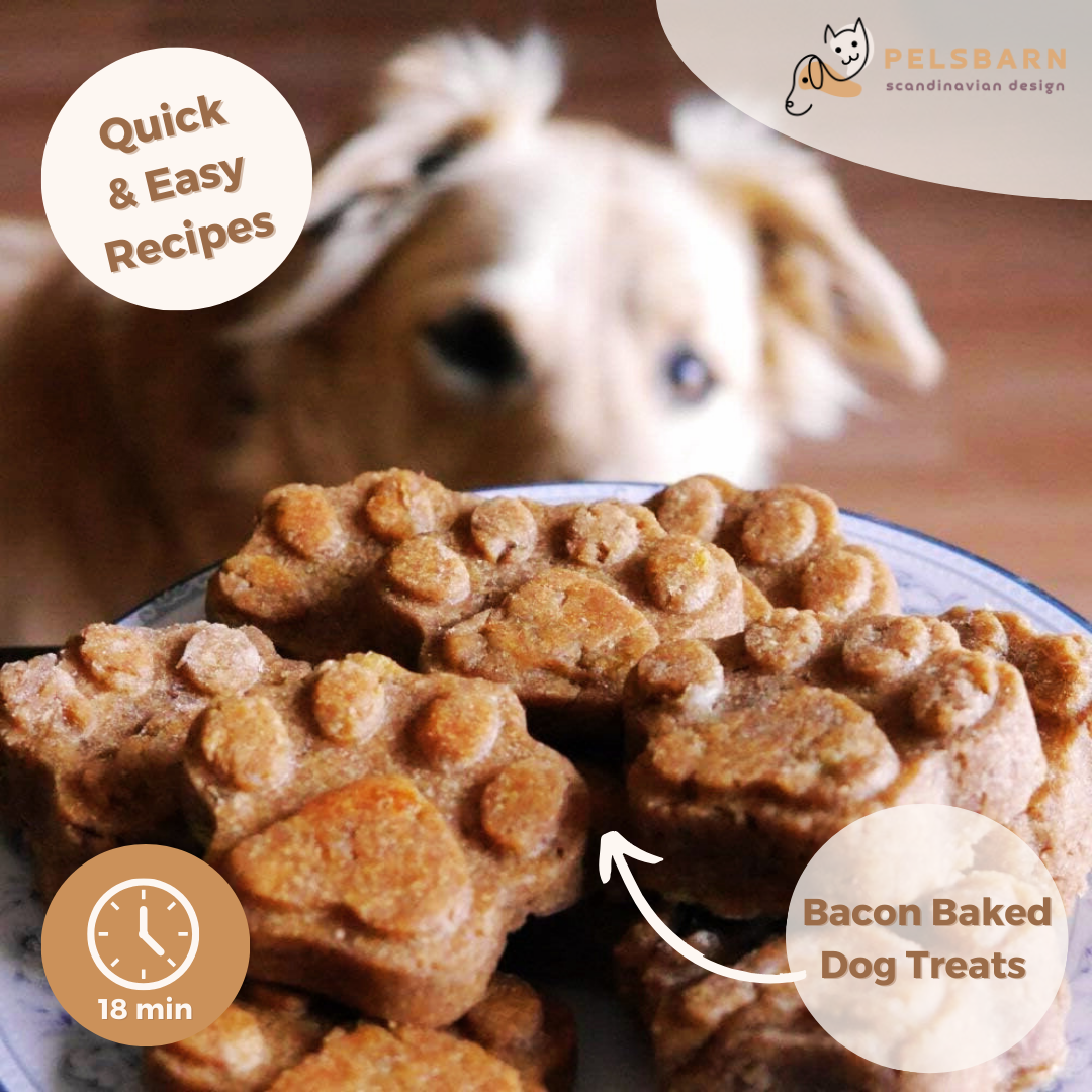 Pawprint Silicone Mold & Recipes