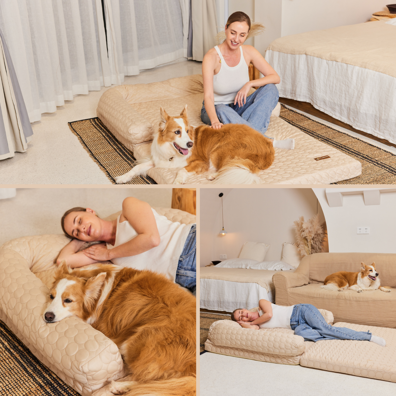A Bed Is It Ok To Sleep With Dog A Bed Benefits Of Letting Your Dog