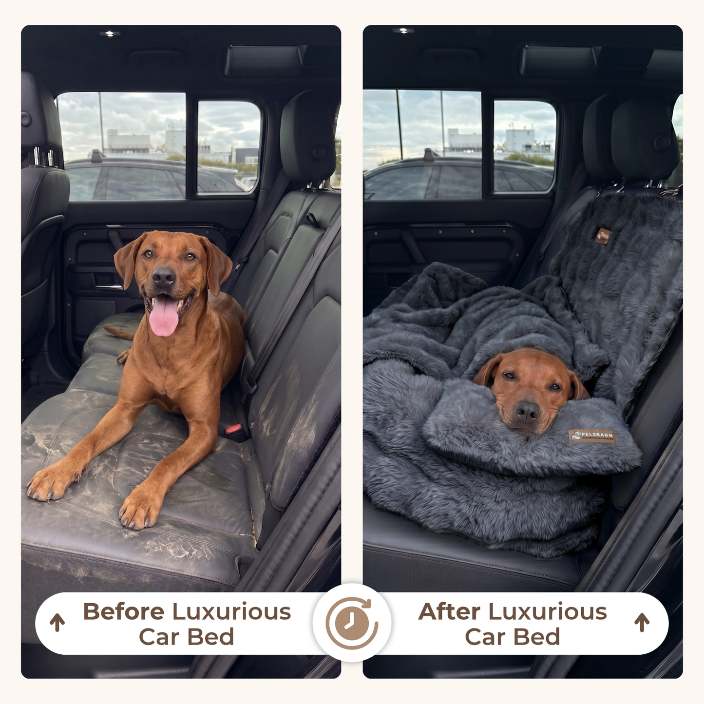 Luxurious Car Bed With Free Pillow & Blanket