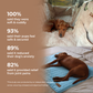 Luxurious Full Backseat Protector + Free Blue Cooling Mat