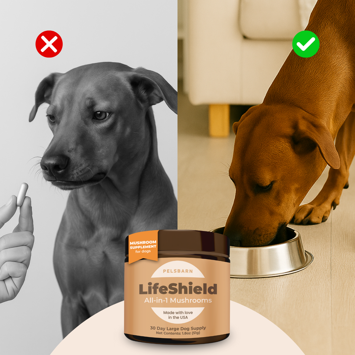 Lifeshield All-in-1 Mushroom Supplement