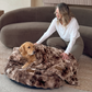 Luxurious Lounge Bed Bundle