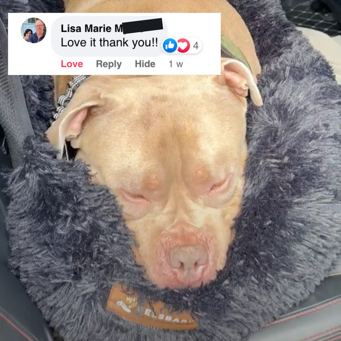 Pelsbarn Protecting Car Bed 2.0 + Free Mat