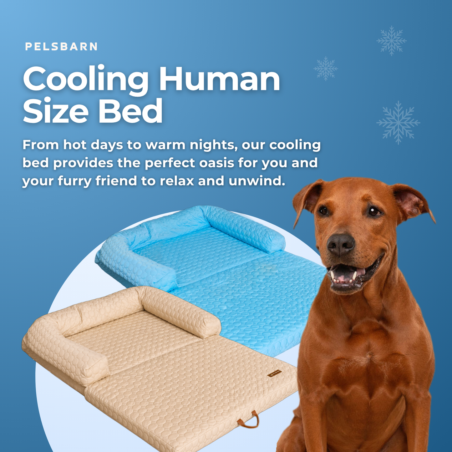 Cama refrescante para perros de tamaño humano