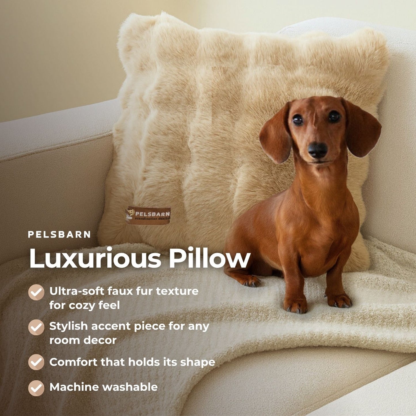 Luxurious Living Room Kit (Bed + Blanket + Pillow)