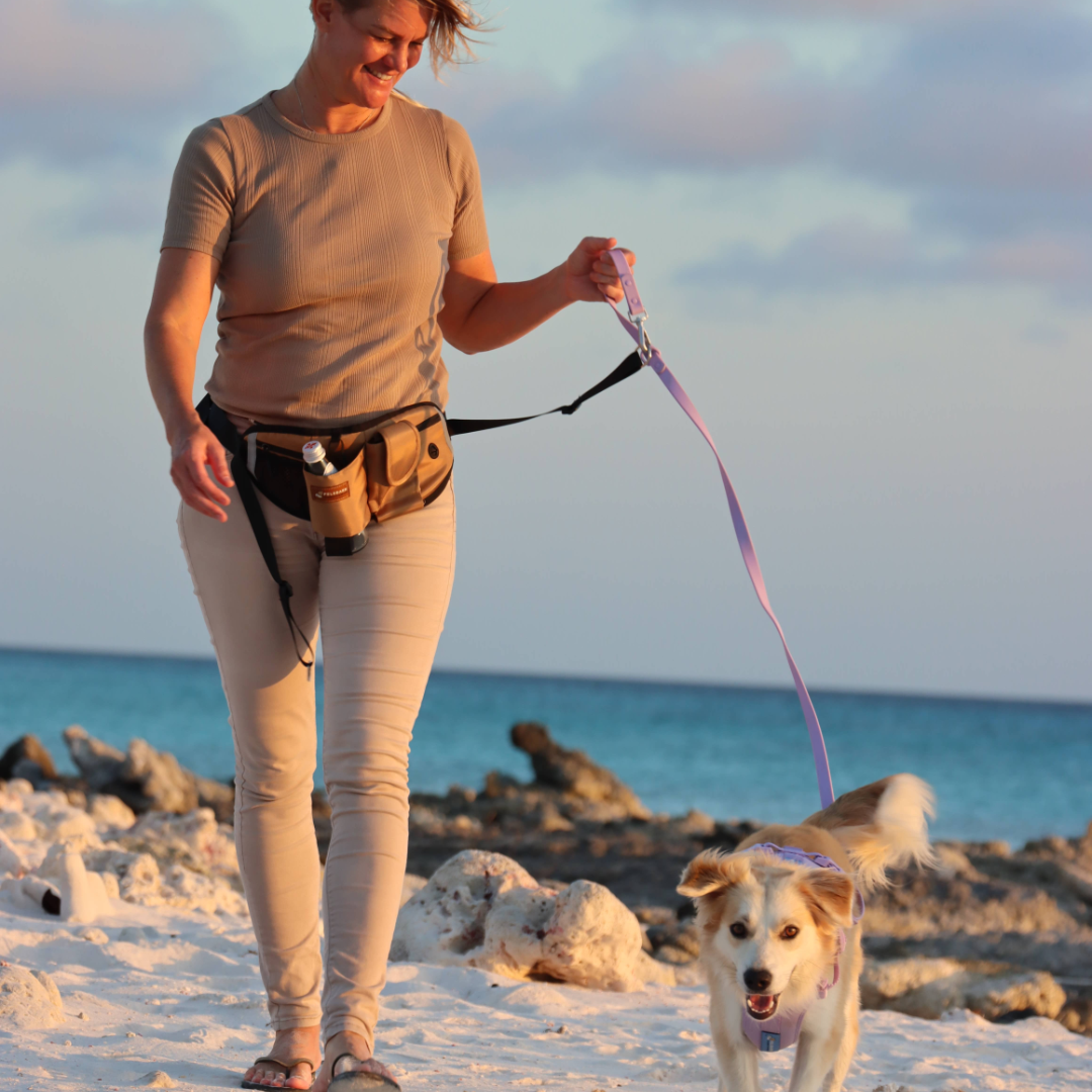 Ultimate All-In-One Dog Fanny Pack