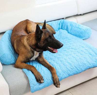 Jerry Reed Dogs A Dog A Day – Pelsbarn.org
