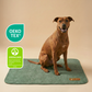 Premium Reusable Pee Pad