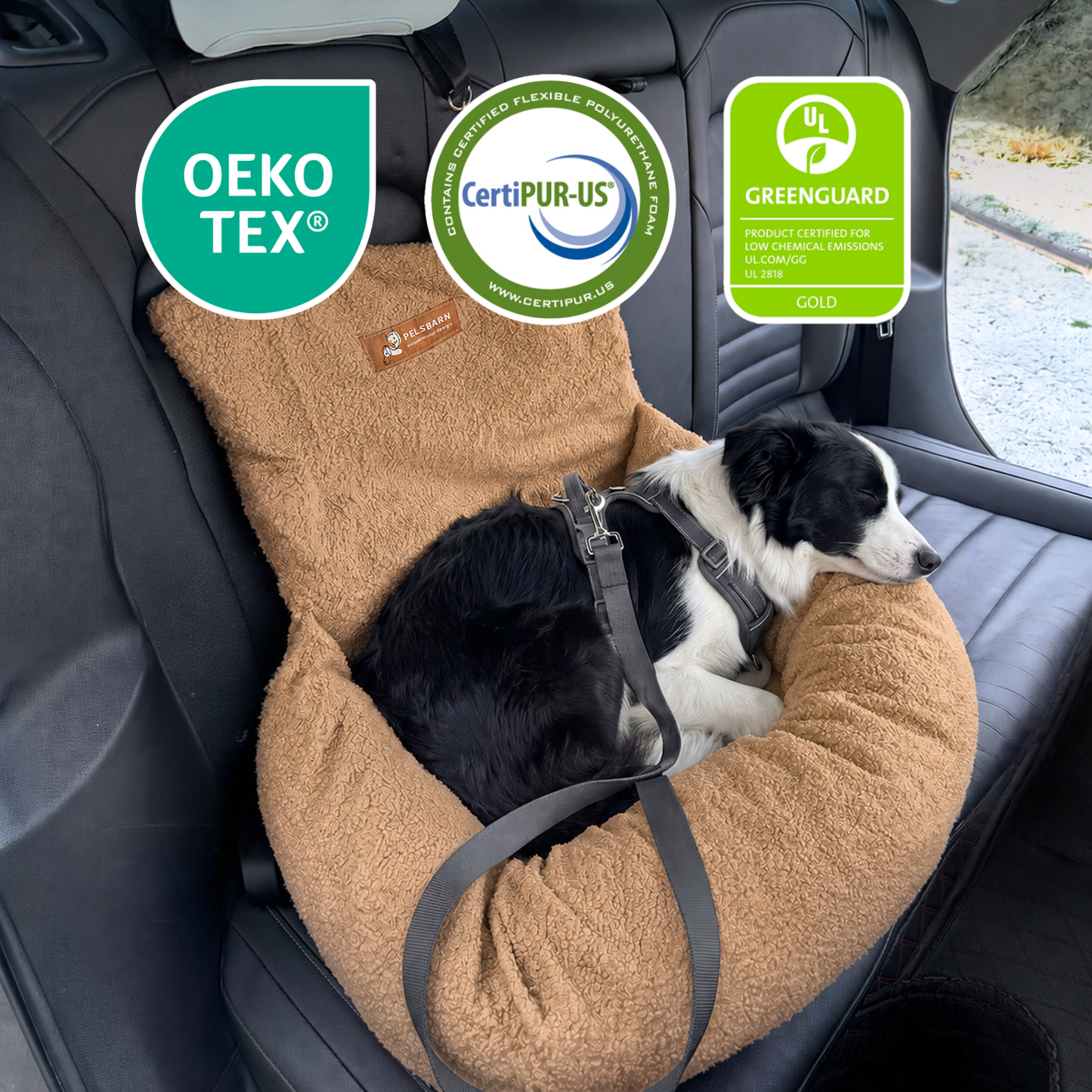 Teddy Car Bed ( 1+1 )
