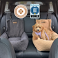 Teddy Car Bed ( 1+1 )