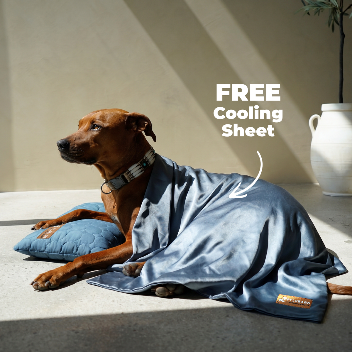 Cooling Pillow