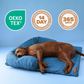 Pelsbarn Cooling Bed (4x more effective)