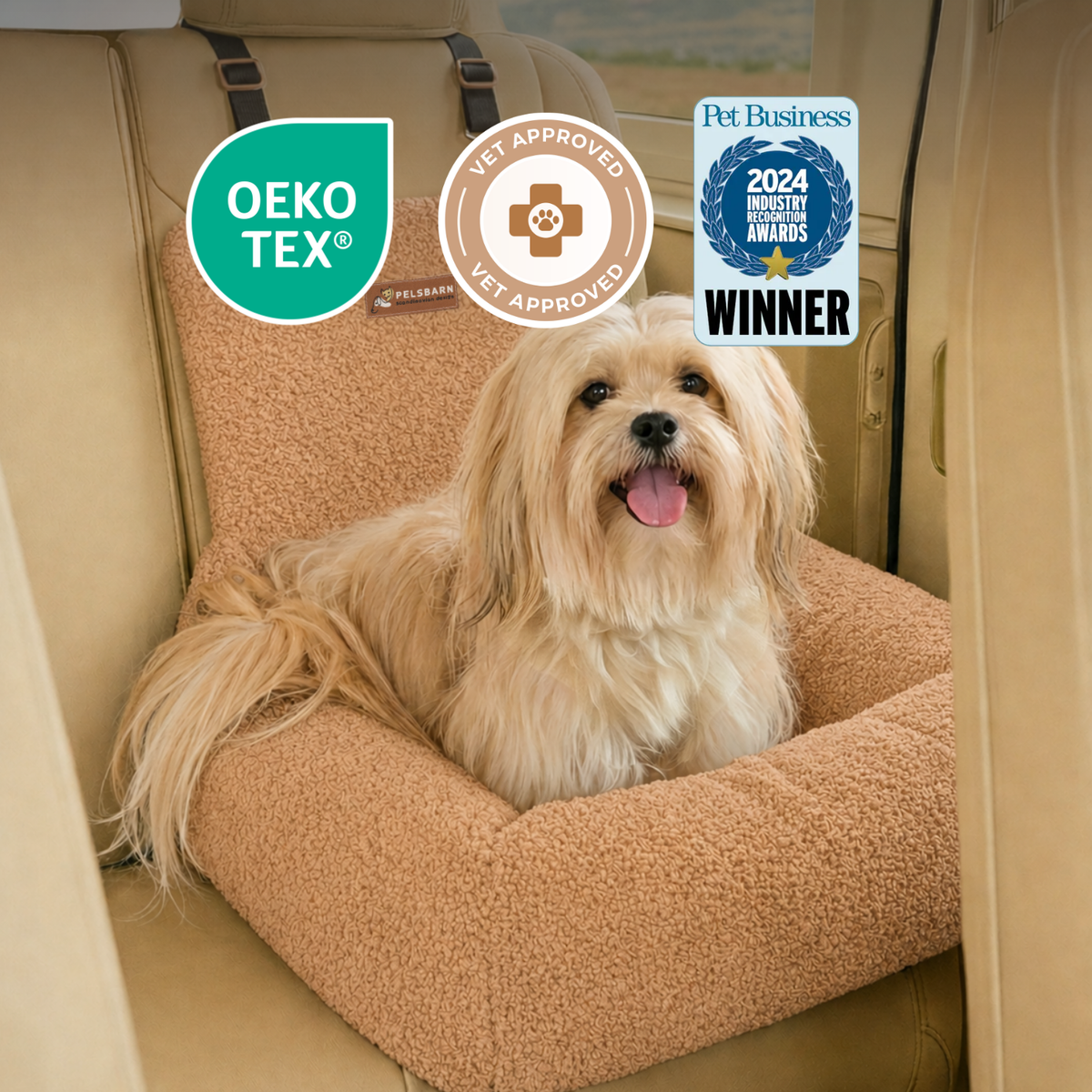 Teddy Car Bed